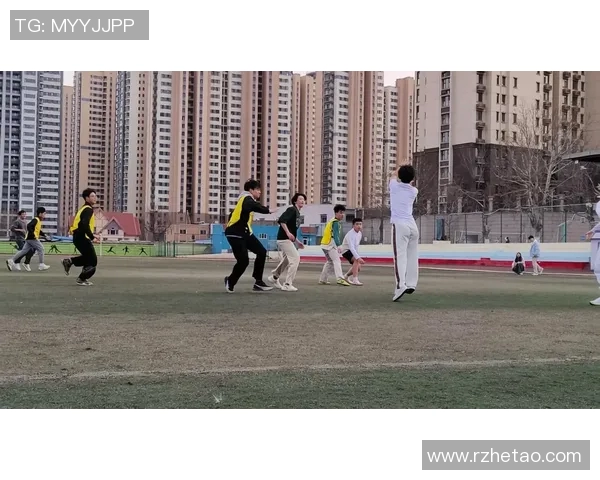 杨强独家分享飞盘技巧与心得体会助你轻松掌握这项运动的乐趣与魅力